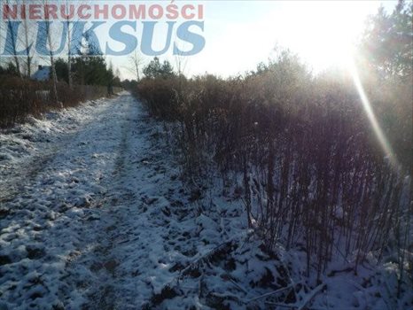Działka budowlana na sprzedaż Łoś, Łoś 1 500m2 Foto 4