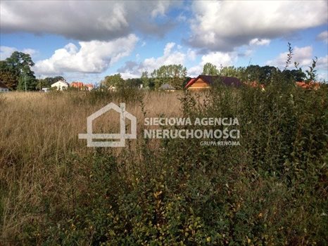 Działka budowlana na sprzedaż Krępa Kaszubska 830m2 Foto 5