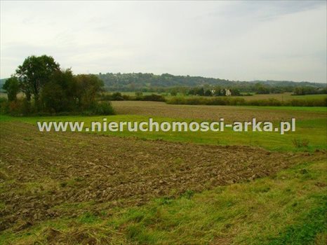 Działka budowlana na sprzedaż Lubomierz 2 000m2 Foto 3