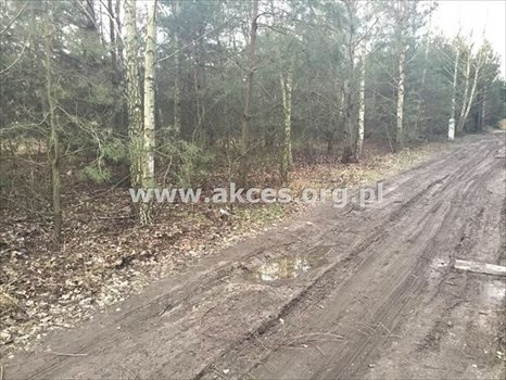 Działka budowlana na sprzedaż Łoś, Łoś 1 000m2 Foto 1