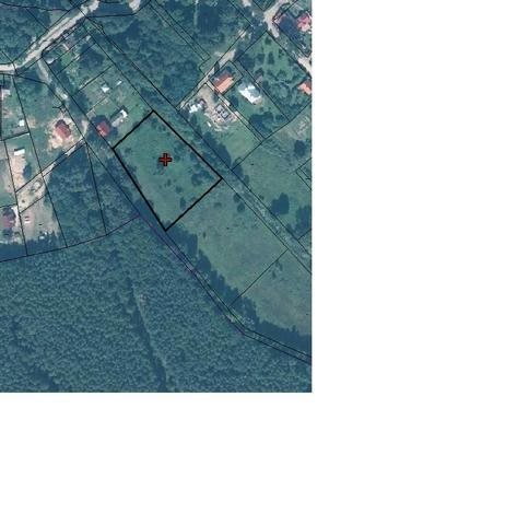 Działka budowlana na sprzedaż Santoczno 5 400m2 Foto 9
