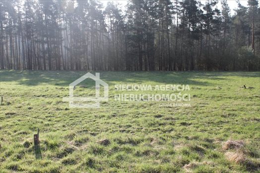 Działka budowlana na sprzedaż Lubowidz 1 760m2 Foto 6