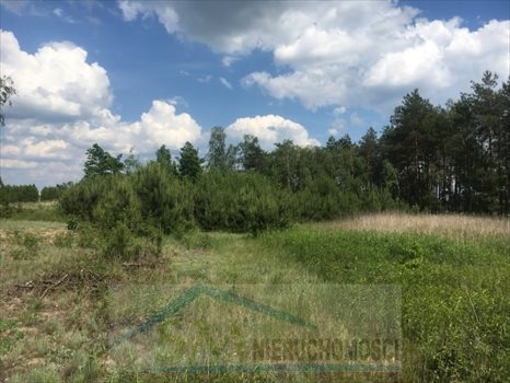 Działka przemysłowo-handlowa na sprzedaż Emilianów, wjazd z węzła trasy S8 Wola Rasztowska 56 264m2 Foto 10