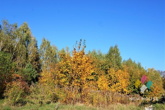 Działka budowlana na sprzedaż Jemiołowo 1 475m2 Foto 3