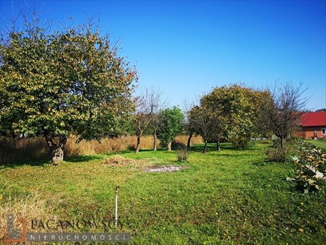 Działka budowlana na sprzedaż Zielonki 1 824m2 Foto 5