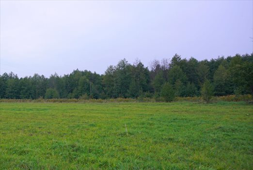 Działka budowlana na sprzedaż Jaktorów 1 258m2 Foto 6