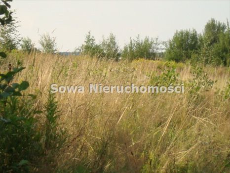 Działka budowlana na sprzedaż Wałbrzych, Poniatów 1 650m2 Foto 6