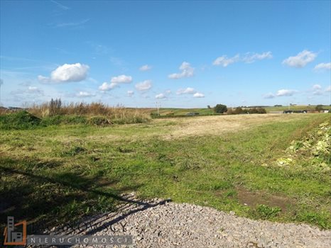 Działka budowlana na sprzedaż Batowice 800m2 Foto 5