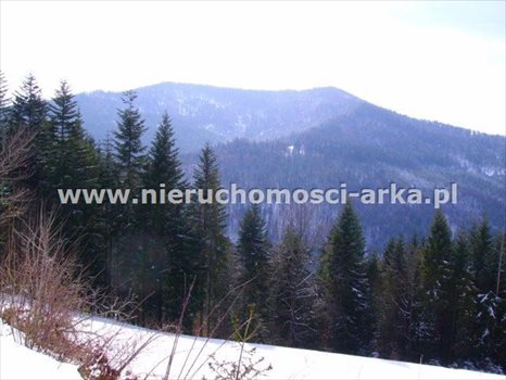 Działka rolna na sprzedaż Szczawa 1 300m2 Foto 2