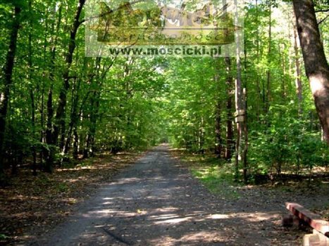 Działka budowlana na sprzedaż Warszawa, Ursynów 2 264m2 Foto 1
