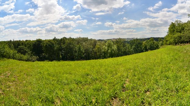 Działka rolna na sprzedaż Grębynice 51m2 Foto 5