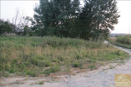 Działka budowlana na sprzedaż Bartąg, Bartąg, Olchowa 3 634m2 Foto 3