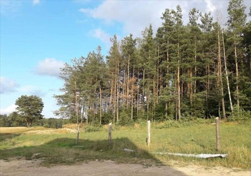 Dom na sprzedaż Gołubie 115m2 Foto 7