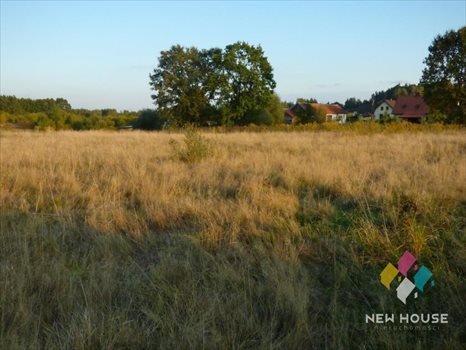 Działka budowlana na sprzedaż Wójtowo, Krokusowa 1 240m2 Foto 1