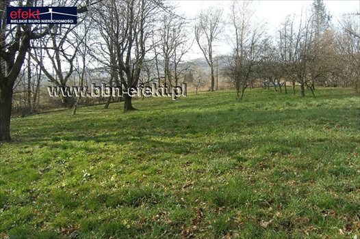 Działka inna na sprzedaż Bielsko-Biała, Kamienica 2 761m2 Foto 2
