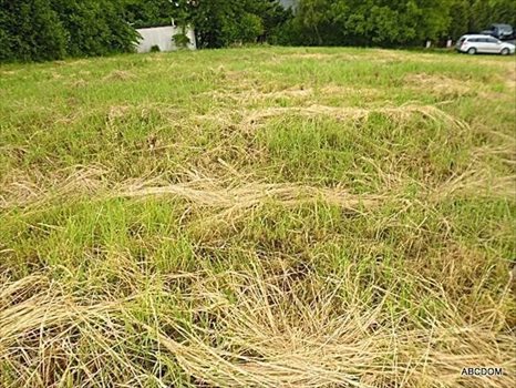 Działka budowlana na sprzedaż Węgrzce, Węgrzce 1 631m2 Foto 6