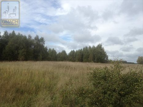 Działka budowlana na sprzedaż Wilimy 62 700m2 Foto 4