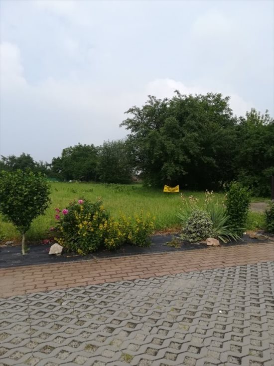 Działka budowlana na sprzedaż Brzozówka Korzkiewska 1 350m2 Foto 2