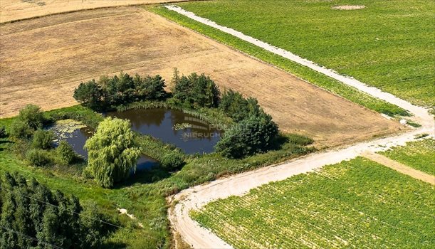 Działka inna na sprzedaż Zła Wieś 3 162m2 Foto 7