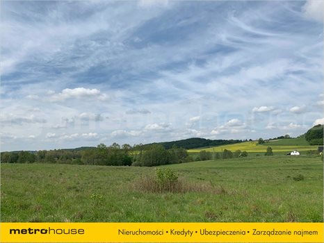 Działka inna na sprzedaż Trzepowo, Przywidz 1 002m2 Foto 2