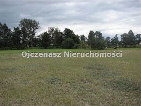 Działka rolna na sprzedaż Brzoza 3 013m2 Foto 4