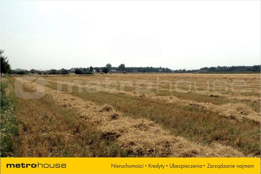 Działka rolna na sprzedaż Kołata, Pobiedziska 26 136m2 Foto 2