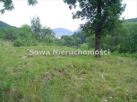 Działka budowlana na sprzedaż Wałbrzych, Stary Glinik 449m2 Foto 1