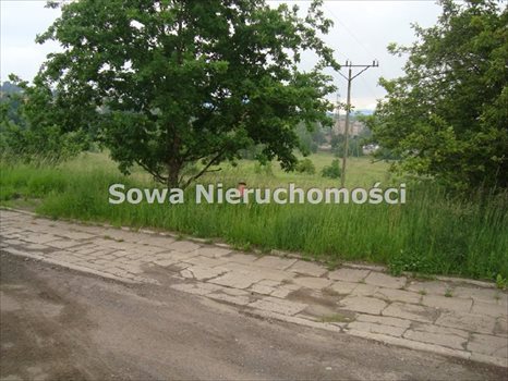 Działka inwestycyjna na sprzedaż Wałbrzych, Szczawienko 4 919m2 Foto 5