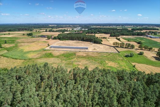 Działka rolna na sprzedaż Hetmanów 414 600m2 Foto 4