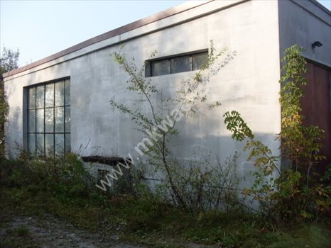 Lokal użytkowy na sprzedaż Domaniew 850m2 Foto 2