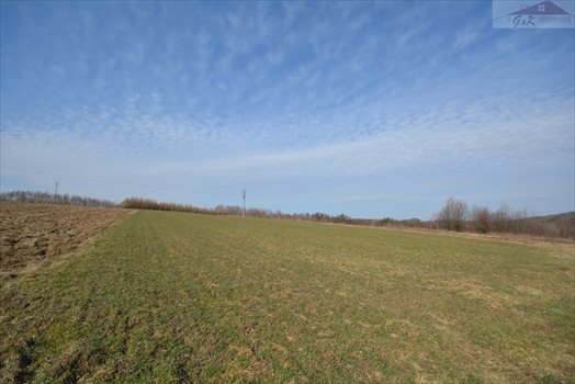Działka rekreacyjna na sprzedaż Drohobyczka 5 800m2 Foto 7