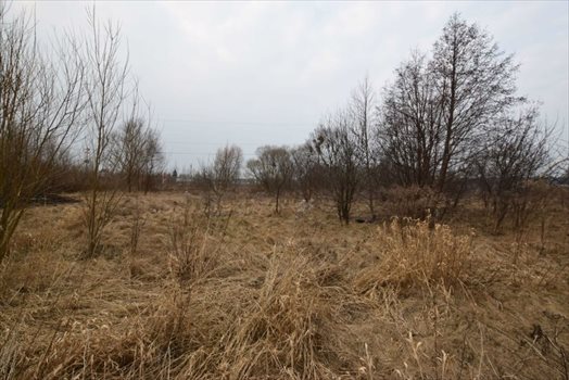 Działka budowlana na sprzedaż Białystok, Gajowa 1 364m2 Foto 7