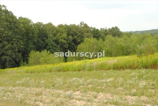 Działka budowlana na sprzedaż Głogoczów 1 965m2 Foto 2