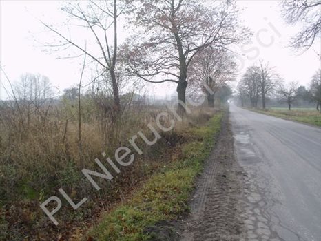 Działka budowlana na sprzedaż Józefatów 4 900m2 Foto 2