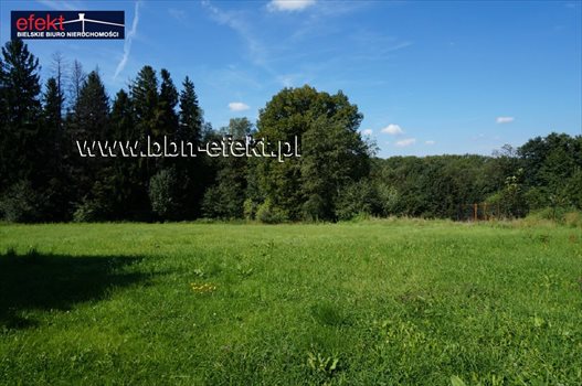 Działka budowlana na sprzedaż Świętoszówka 4 707m2 Foto 5