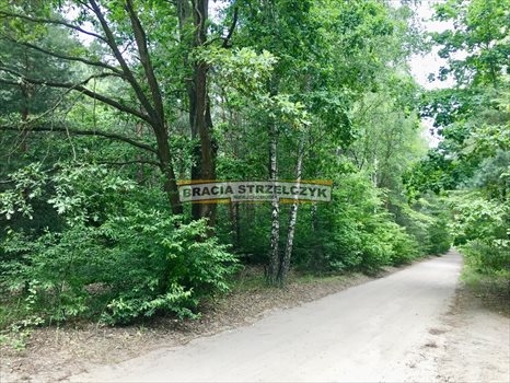Działka budowlana na sprzedaż Owczarnia 7 042m2 Foto 1