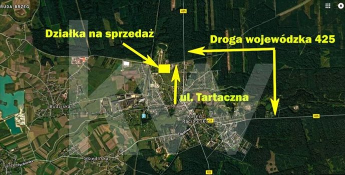 Działka przemysłowo-handlowa na sprzedaż Racibórz 9 502m2 Foto 5