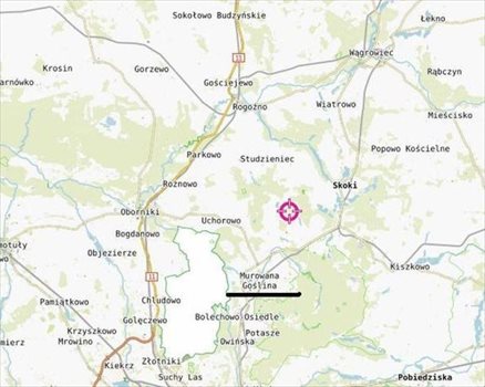 Działka rekreacyjna na sprzedaż Murowana Goślina, Wojnówko 3 782m2 Foto 5