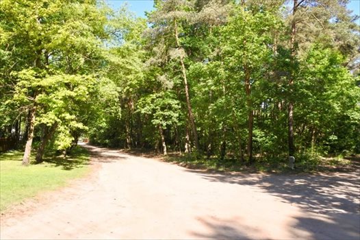 Działka budowlana na sprzedaż Sokolniki-Las, Jagiellońska 982m2 Foto 4
