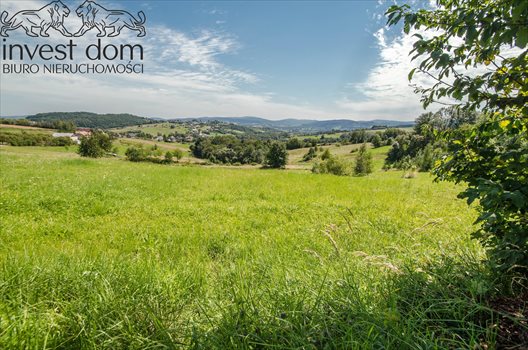 Działka budowlana na sprzedaż Bystra 6 000m2 Foto 6