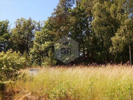 Działka rekreacyjna na sprzedaż Kościerzyna, Kościerzyna, Plebanka 2 532m2 Foto 3