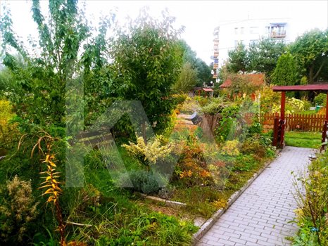 Działka rekreacyjna na sprzedaż Żory, Brzozowa 330m2 Foto 1