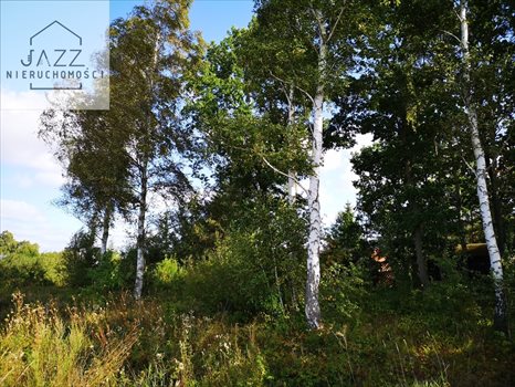 Działka budowlana na sprzedaż Dębki 1 323m2 Foto 7