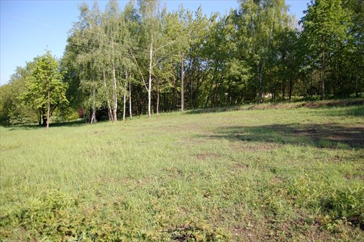 Działka budowlana na sprzedaż Mikołów, Gniotek, Na Wzgórzu 827m2 Foto 2