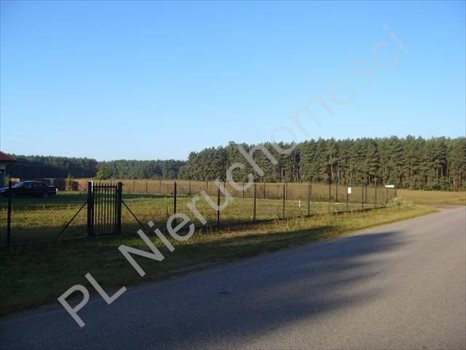 Działka budowlana na sprzedaż Przypki 20 000m2 Foto 4