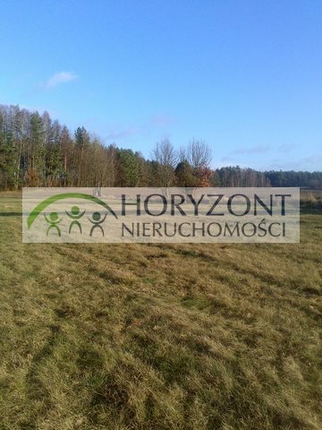Działka budowlana na sprzedaż Kamień 3 295m2 Foto 4
