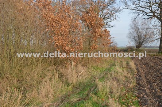 Działka budowlana na sprzedaż Pieńkowo 665m2 Foto 6
