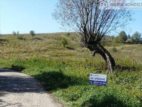 Działka budowlana na sprzedaż Potrzanowo 25 642m2 Foto 8