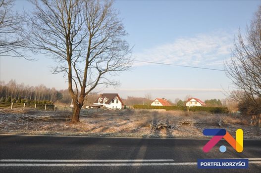 Działka budowlana na sprzedaż Droszków 2 500m2 Foto 4
