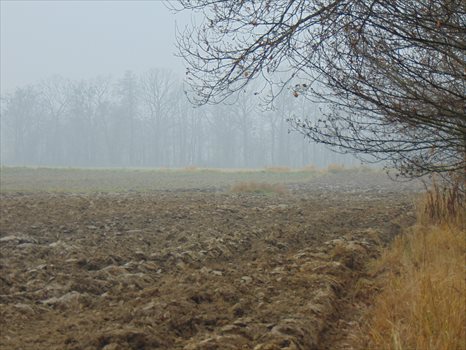 Działka rekreacyjna na sprzedaż Ochaby Wielkie, Baranowicka 6 200m2 Foto 2